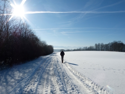 Zukunftsmarkt Diabetes
