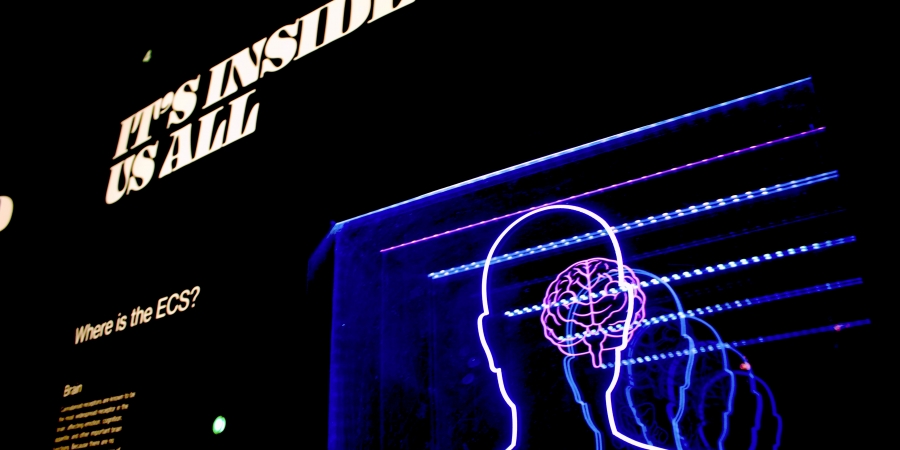 Use your Brain!