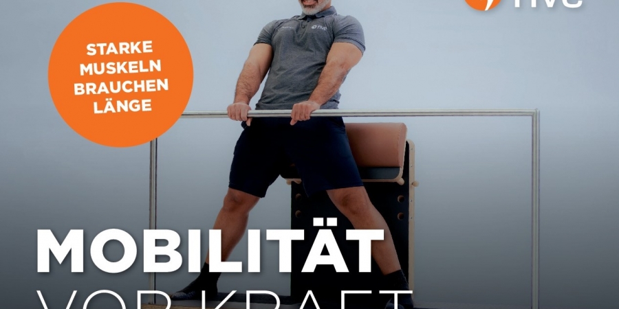 Starke Muskeln brauchen Länge