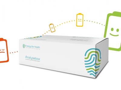 Mikronährstoff-Analysebox