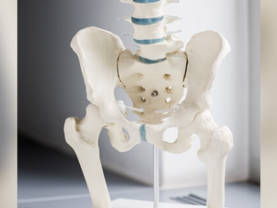 Zusammenarbeit von FPZ und BIG direkt gesund 