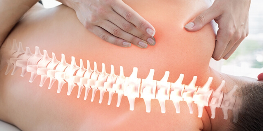 Physiotherapie ist systemrelevant - Die Konsequenzen für den Berufsstand